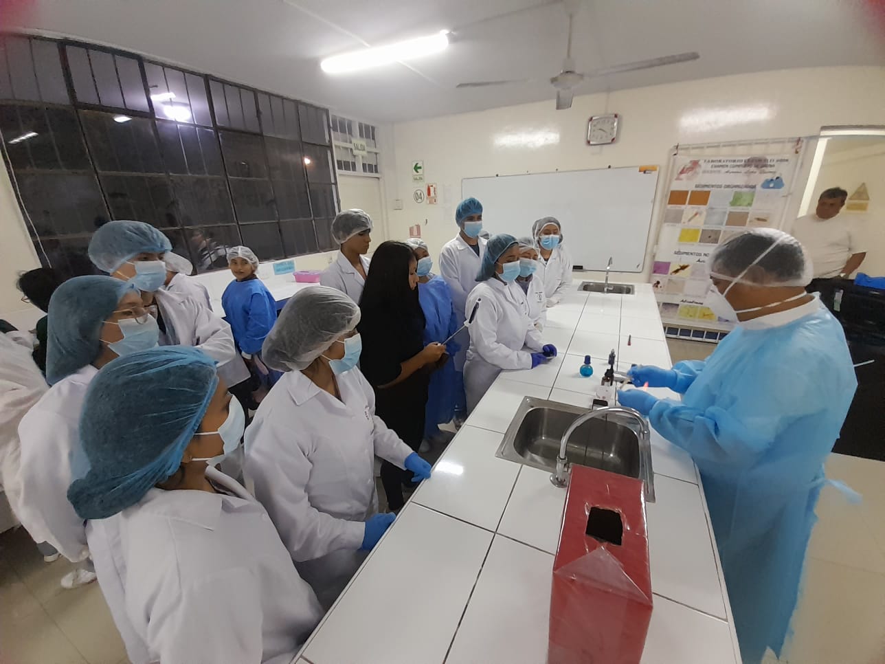 Ilustración Competencias